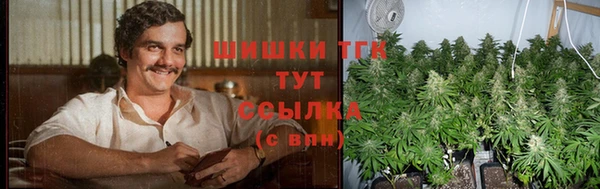 скорость Бердск